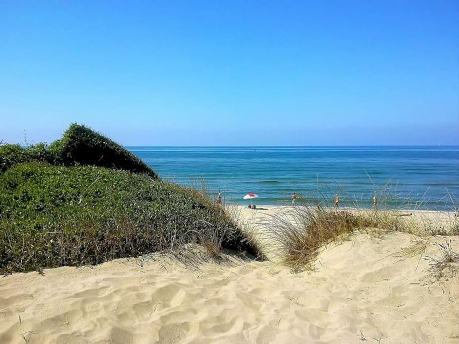 Sea Of Rome - Holiday Home Ostia Buitenkant foto